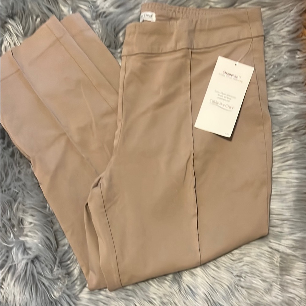 NWT Coldwater Creek Shape me tan pants s 16P